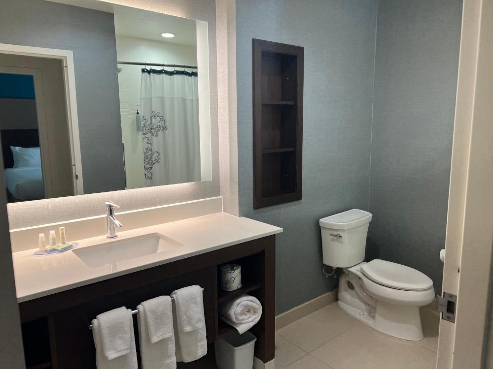 One-Bedroom King Suite with Sofa Bed interior
